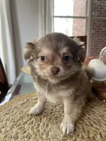 processed/adc1ea63-97aa-4490-88ef-7a145f84b9ce/listing/1efc482a-3934-4577-ba09-a47b1417eb7e/a22db75c-7f81-43bc-af27-39051eeb1e96