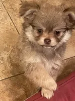 processed/adc1ea63-97aa-4490-88ef-7a145f84b9ce/listing/1efc482a-3934-4577-ba09-a47b1417eb7e/c30dbee3-5dda-4ecc-bd28-539bb3c6d08c