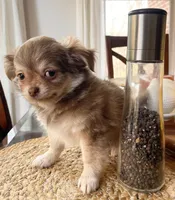 processed/adc1ea63-97aa-4490-88ef-7a145f84b9ce/listing/1efc482a-3934-4577-ba09-a47b1417eb7e/c672d20b-c45d-4ce5-ade1-b5ad2a5377e1