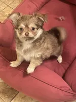 processed/adc1ea63-97aa-4490-88ef-7a145f84b9ce/listing/1efc482a-3934-4577-ba09-a47b1417eb7e/ed0e19df-077b-4185-8017-cf7c58a1ce87