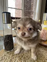 processed/adc1ea63-97aa-4490-88ef-7a145f84b9ce/listing/1efc482a-3934-4577-ba09-a47b1417eb7e/f1447083-06c0-4987-ac30-6095ca5debaa