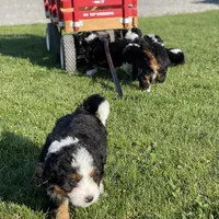 processed/adc65b5f-6c42-4863-b790-22ede2aa4284/facility/9815b88b-e231-4495-ac4f-7e09f06d6f72