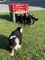 processed/adc65b5f-6c42-4863-b790-22ede2aa4284/facility/9815b88b-e231-4495-ac4f-7e09f06d6f72