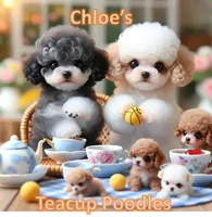 processed/adc7c847-58c3-4719-bd64-c175dee6764d/facility/04647b07-7093-4dfe-bd06-44bbf8fcfe44