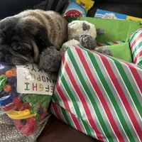 processed/adc7e768-6546-483e-9c3f-3007fce30c43/facility/7cede4c9-b835-465d-9d3f-a6241da5e9b2