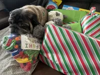 processed/adc7e768-6546-483e-9c3f-3007fce30c43/facility/7cede4c9-b835-465d-9d3f-a6241da5e9b2