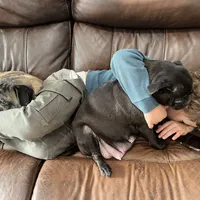 processed/adc7e768-6546-483e-9c3f-3007fce30c43/facility/c7c2db2e-31ff-471e-8252-ce79ebb0f32c