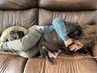 processed/adc7e768-6546-483e-9c3f-3007fce30c43/facility/c7c2db2e-31ff-471e-8252-ce79ebb0f32c