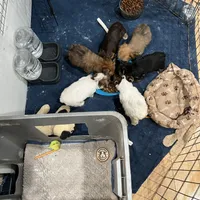 processed/adc7e768-6546-483e-9c3f-3007fce30c43/facility/ebcbb817-1c5f-4d51-ab42-961c93aba24c