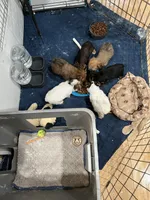 processed/adc7e768-6546-483e-9c3f-3007fce30c43/facility/ebcbb817-1c5f-4d51-ab42-961c93aba24c