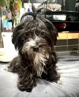 processed/adc7e768-6546-483e-9c3f-3007fce30c43/listing/1fb1ee1d-a312-466d-b630-f5b4989e81f3/023817d0-ef2e-430e-af2e-6e6309717c35