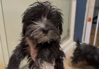 processed/adc7e768-6546-483e-9c3f-3007fce30c43/listing/1fb1ee1d-a312-466d-b630-f5b4989e81f3/1584b57d-562a-43e3-b2c8-1176b1960221