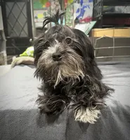 processed/adc7e768-6546-483e-9c3f-3007fce30c43/listing/1fb1ee1d-a312-466d-b630-f5b4989e81f3/5e8b5dc0-2d95-48ed-99a2-a44e44d6254a