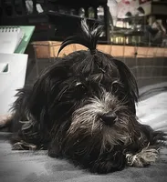 processed/adc7e768-6546-483e-9c3f-3007fce30c43/listing/1fb1ee1d-a312-466d-b630-f5b4989e81f3/7517f3b5-fb9c-49b4-b12c-a89f3b685226