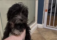 processed/adc7e768-6546-483e-9c3f-3007fce30c43/listing/1fb1ee1d-a312-466d-b630-f5b4989e81f3/7e5f1f97-d53a-4bb8-a0e3-24bf114e34fb