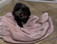 processed/adc7e768-6546-483e-9c3f-3007fce30c43/listing/1fb1ee1d-a312-466d-b630-f5b4989e81f3/90978b40-fec1-4686-be58-ae49ee8a757e