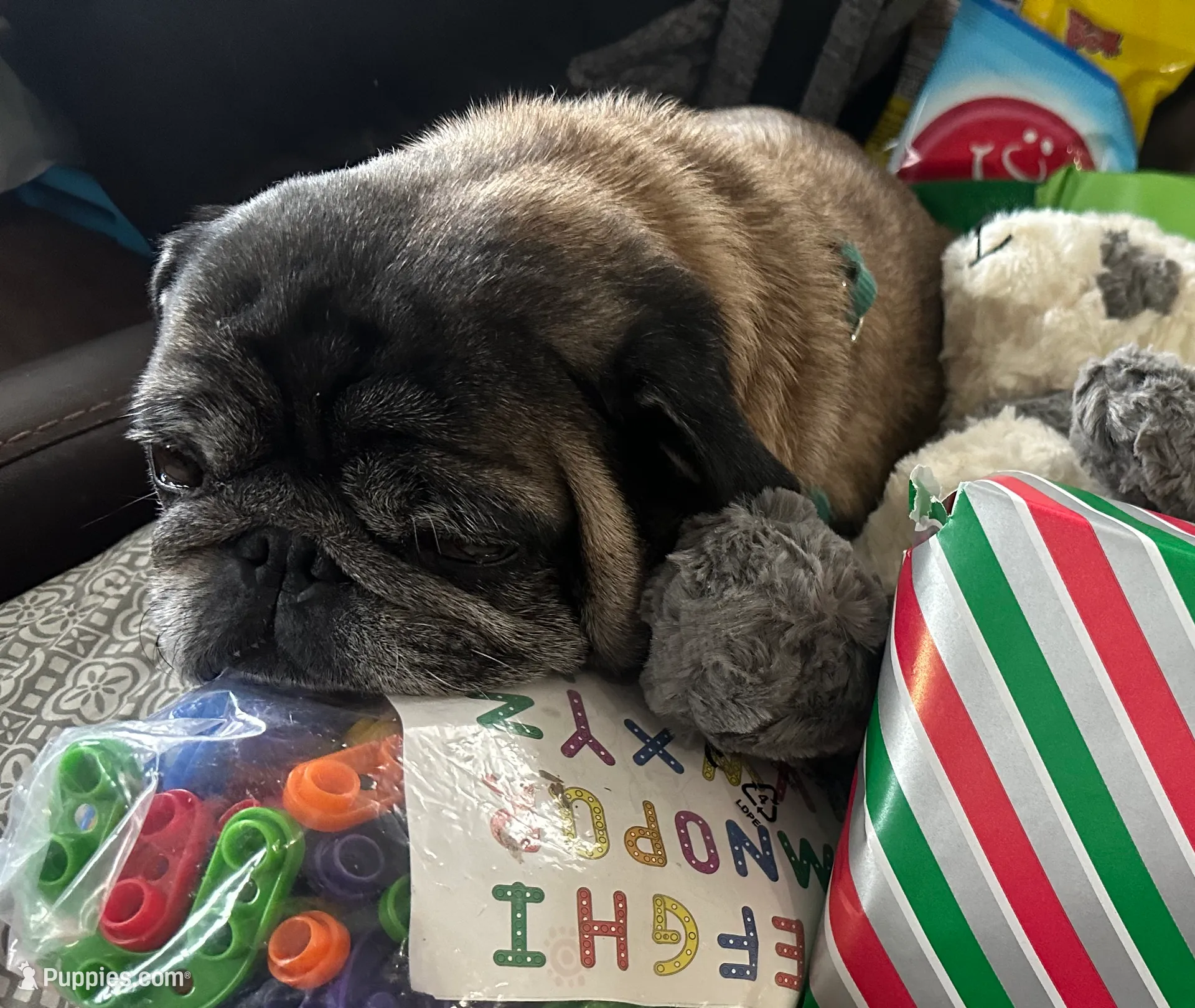 processed/adc7e768-6546-483e-9c3f-3007fce30c43/listing/b5c31ace-e391-40fa-a873-cca337970a03/0d3b96bb-bfd0-460c-8a71-cbff4c272024