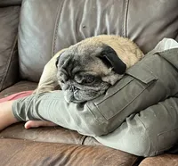 processed/adc7e768-6546-483e-9c3f-3007fce30c43/listing/b5c31ace-e391-40fa-a873-cca337970a03/703f62bf-ac4d-4a29-9836-cdd40af861e4