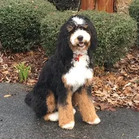 processed/adcebdef-7606-4525-aa9e-1e322969f115/facility/010a27f2-dfb2-4d38-a0f0-d2b18fab1d59