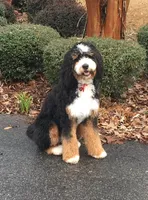 processed/adcebdef-7606-4525-aa9e-1e322969f115/facility/010a27f2-dfb2-4d38-a0f0-d2b18fab1d59