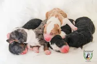 processed/adcebdef-7606-4525-aa9e-1e322969f115/facility/3af4603c-3fd4-4345-9e81-66fb243fc251