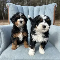 processed/adcebdef-7606-4525-aa9e-1e322969f115/facility/56884b67-388d-4309-91a3-f961033a7671