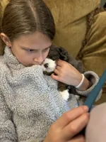 processed/adcebdef-7606-4525-aa9e-1e322969f115/facility/6983d6d3-7000-45b2-81c9-b0abdf2183fb