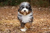 processed/adcebdef-7606-4525-aa9e-1e322969f115/facility/7e1f178d-d340-41a7-8cdd-657d6fb7e7ce