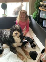 processed/adcebdef-7606-4525-aa9e-1e322969f115/facility/ceeefe27-23b5-4e70-8f18-24ba87a66b11