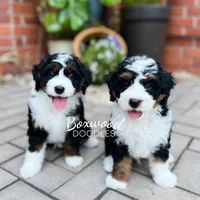 processed/adcebdef-7606-4525-aa9e-1e322969f115/facility/e56eb0e5-63b3-45e5-b1b7-52bbc6dfc904