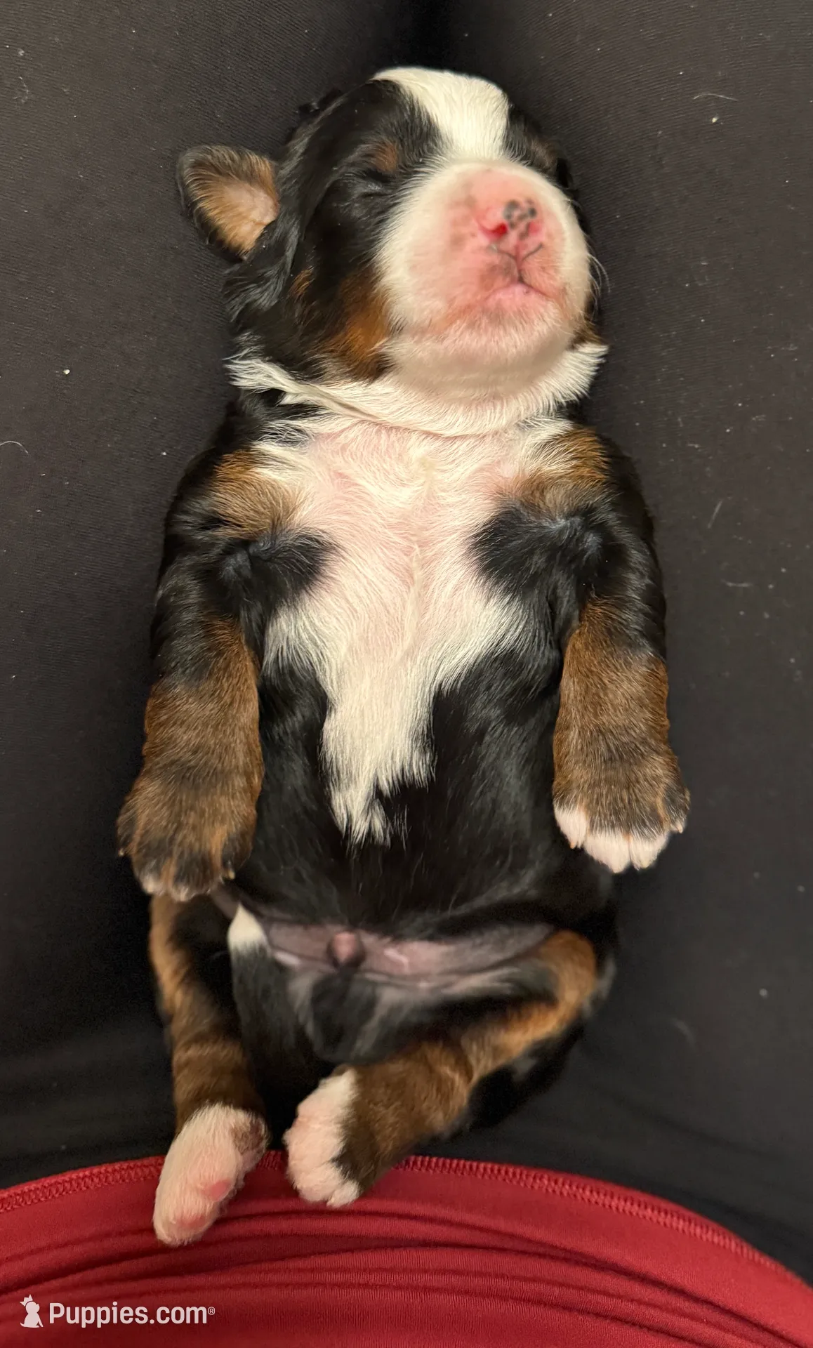 processed/adcebdef-7606-4525-aa9e-1e322969f115/listing/b9f71f84-64f0-48ea-b30a-40ca63ae8cc0/519a5131-5d65-4609-8abc-b4003b84e218