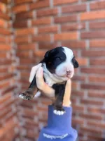 processed/adcebdef-7606-4525-aa9e-1e322969f115/listing/b9f71f84-64f0-48ea-b30a-40ca63ae8cc0/5e7ec68b-7e92-48e1-aa0b-c0654af7fc0e