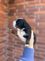 processed/adcebdef-7606-4525-aa9e-1e322969f115/listing/b9f71f84-64f0-48ea-b30a-40ca63ae8cc0/817870b0-9889-4ef5-b300-532dc0bb98d1