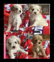 processed/addd0641-e8d4-4402-8262-79cd4154c5ce/facility/27cc2ca6-b7f5-4dc0-b98b-965700f79dff