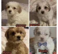 processed/addd0641-e8d4-4402-8262-79cd4154c5ce/facility/4c3f2723-fb64-4304-b1a9-8f52941acb08