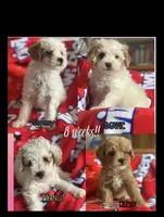 processed/addd0641-e8d4-4402-8262-79cd4154c5ce/facility/522b7805-1435-49e0-a8b0-aad4ab36a6ad