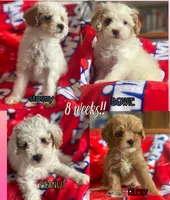 processed/addd0641-e8d4-4402-8262-79cd4154c5ce/facility/b5cbf2d5-e600-4d07-a612-fd721a2cb4be