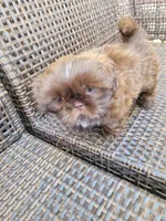 processed/ade84889-e94c-4d8f-8499-4d0f29a0fa65/listing/403591c2-3ae8-445a-9f91-dac301b28d55/373fa063-bc8b-461f-91f2-4d20d8d6321e