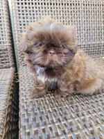 processed/ade84889-e94c-4d8f-8499-4d0f29a0fa65/listing/403591c2-3ae8-445a-9f91-dac301b28d55/5f4162f7-32a4-42f6-ad2c-c544392480b5