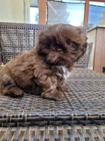 processed/ade84889-e94c-4d8f-8499-4d0f29a0fa65/listing/403591c2-3ae8-445a-9f91-dac301b28d55/8508c584-7b90-4d00-a371-57478761e5c2