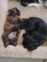 processed/ade84889-e94c-4d8f-8499-4d0f29a0fa65/listing/403591c2-3ae8-445a-9f91-dac301b28d55/fad853f4-31f4-4fd6-bd58-04f5358a6a20