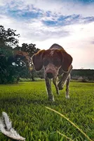 processed/adeb8143-0acd-4056-a896-2cd52b858d5b/listing/2ed93143-a6f0-43f1-8373-85c821bdf63e/1a19f94f-5678-412b-9fbd-208f906bf859