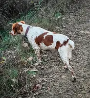 processed/adeb8143-0acd-4056-a896-2cd52b858d5b/listing/2ed93143-a6f0-43f1-8373-85c821bdf63e/6aa1d02c-5d6f-4dd2-a62a-b867197c171f