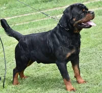 processed/adee82ba-530c-4119-bea6-904d02867eee/listing/19adcb12-399e-48a1-b1ef-b05a2a7ff477/03eeabd3-96f2-47d0-b12b-a2982d069b89