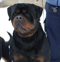 processed/adee82ba-530c-4119-bea6-904d02867eee/listing/19adcb12-399e-48a1-b1ef-b05a2a7ff477/38ef4b6e-d577-4736-a13a-8513d64110f1