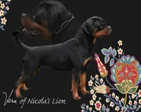 processed/adee82ba-530c-4119-bea6-904d02867eee/listing/19adcb12-399e-48a1-b1ef-b05a2a7ff477/4a9484d3-32bf-45f3-a734-f52584fc0b8f