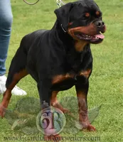 processed/adee82ba-530c-4119-bea6-904d02867eee/listing/19adcb12-399e-48a1-b1ef-b05a2a7ff477/67380e92-ed52-480b-8109-e24aca366919