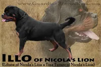 processed/adee82ba-530c-4119-bea6-904d02867eee/listing/19adcb12-399e-48a1-b1ef-b05a2a7ff477/6dc95f5f-ddf6-4829-b36a-e94c3e42e05d