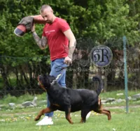 processed/adee82ba-530c-4119-bea6-904d02867eee/listing/19adcb12-399e-48a1-b1ef-b05a2a7ff477/875b6f7e-e494-44cf-92f5-9905d2905b8d