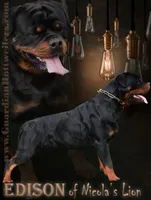 processed/adee82ba-530c-4119-bea6-904d02867eee/listing/19adcb12-399e-48a1-b1ef-b05a2a7ff477/b58aada9-b82d-4f9e-801c-99d4a2e501ff